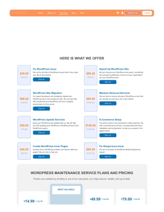 Fix Web Issue services