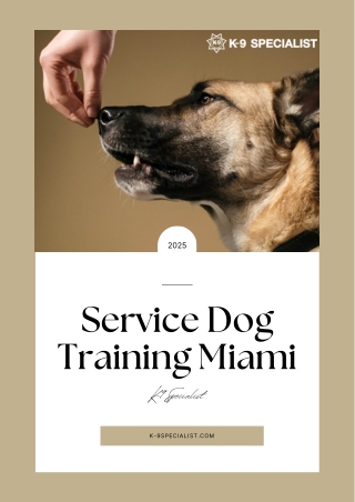 Service Dog Training Miami