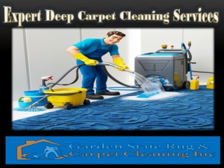 Expert Deep Carpet Cleaning Services