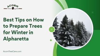 Essential Steps on How to Prepare Trees for Winter in Alpharetta