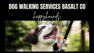 Dog Walking Services Basalt CO