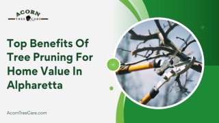 Discover the Top Benefits of Tree Pruning for Homes in Alpharetta
