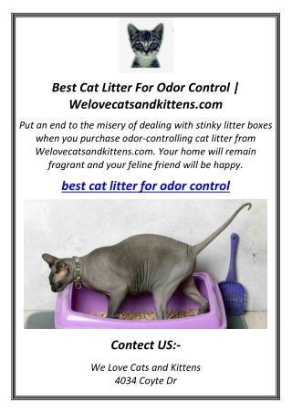 Best Cat Litter For Odor Control | Welovecatsandkittens.com