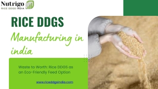 From Grain to Gain: The Rise of Rice DDGS in Animal Nutrition