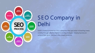 Seo Company In Delhi