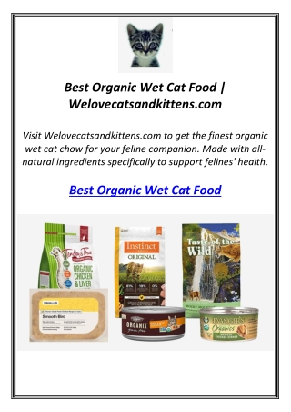Best Organic Wet Cat Food | Welovecatsandkittens.com