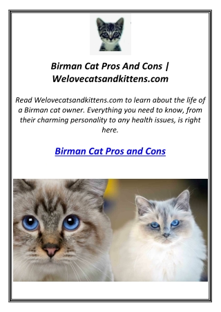 Birman Cat Pros And Cons | Welovecatsandkittens.com