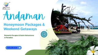 Andaman Honeymoon Packages & Weekend Getaways