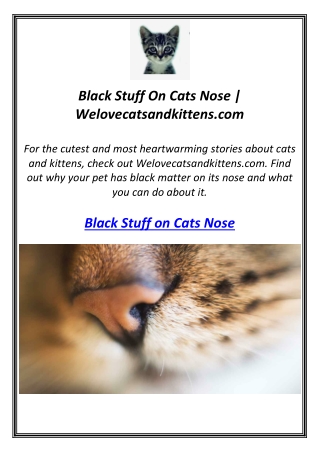 Black Stuff On Cats Nose | Welovecatsandkittens.com
