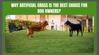 Dog Friendly Artificial Grass Solutions