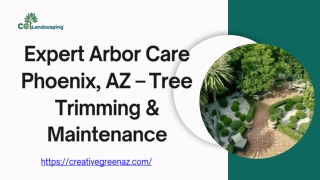 Expert Arbor Care Phoenix, AZ – Tree Trimming & Maintenance