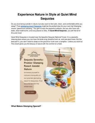 Experience Nature in Style at Quiet Mind Sequoias