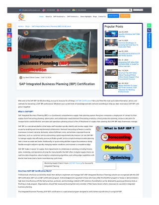 SAP IBP Training in Pune - Best Online Career