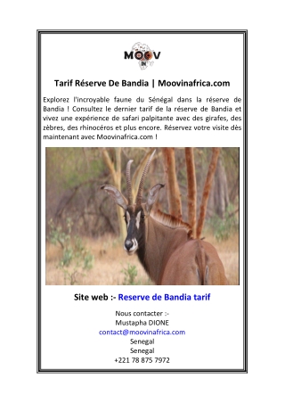 Tarif Réserve De Bandia  Moovinafrica.com