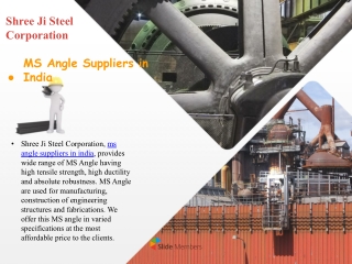 MS Angle Suppliers in  India