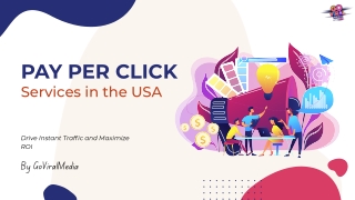 Pay Per Click Services in the USA