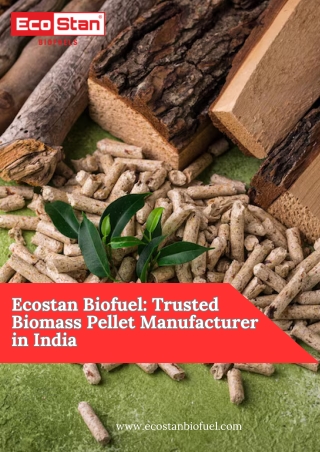 Ecostan Biofuel Trusted Biomass Pellet Manufacturer in India