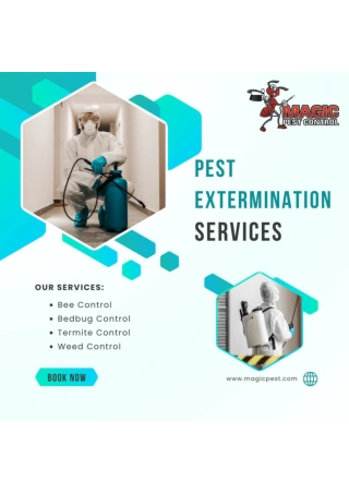 Weed Control Services At Magic Pest Control in Gilbert, Queen Creek, Chandler, A