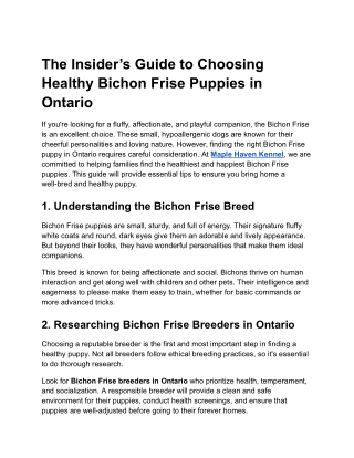 The Insider’s Guide to Choosing Healthy Bichon Frise Puppies in Ontario