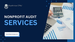 Reliable Not-for-Profit Audit Services at BlueArrow CPAs