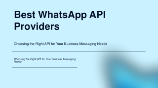 Best WhatsApp API Providers A Comprehensive Comparison