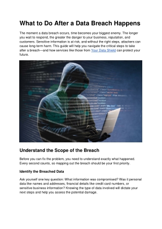 What to Do After a Data Breach Happens