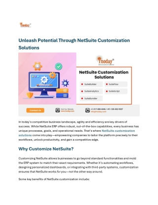 Unleash Potential Through NetSuite Customization Solutions