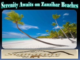 Serenity Awaits on Zanzibar Beaches