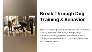 Puppy Training Dallas