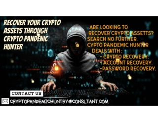 CONTACT CRYPTOPANDEMICHUNTER[@]CONSULTANT[.]COM FOR DIGITAL ASSETS RETRIAVAL