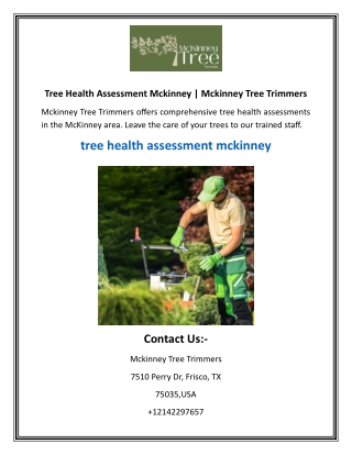 Tree Health Assessment Mckinney​  Mckinney Tree Trimmers
