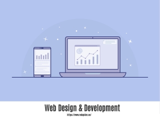 RedSpider Web & Art Design