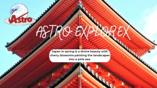 Chennai to Japan tour packages