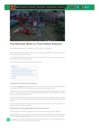 Tree Removal What is a Tree Climber Arborist