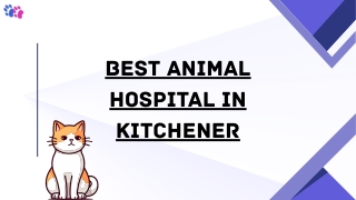 Kitchener's Best Animal Hospital & Veterinary Clinic