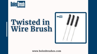 Twisted in Wire Brush