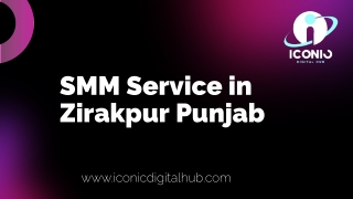 SMM Service in Zirakpur Punjab
