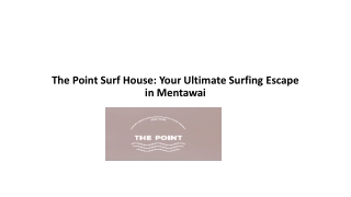 The Point Mentawai