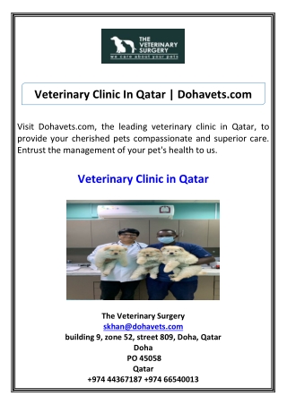 Veterinary Clinic In Qatar Dohavets.com