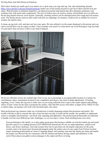 Animal Discolor Rug Cleaner