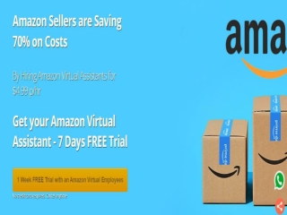 Hire Amazon Virtual Assistant