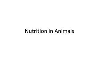 Nutrition-in-Animals (1)