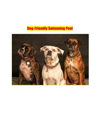 Dog-Friendly Swimming Pool