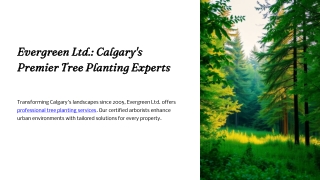 Calgary Tree Planting Services – Evergreen Ltd