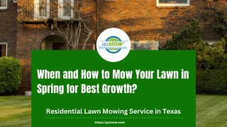 When and How to Mow Your Lawn in Spring for Best Growth