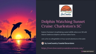 Dolphin Watching Sunset Cruise Charleston SC