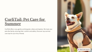 Top Summer Care Tips for Your Pets in USA | CurliTail