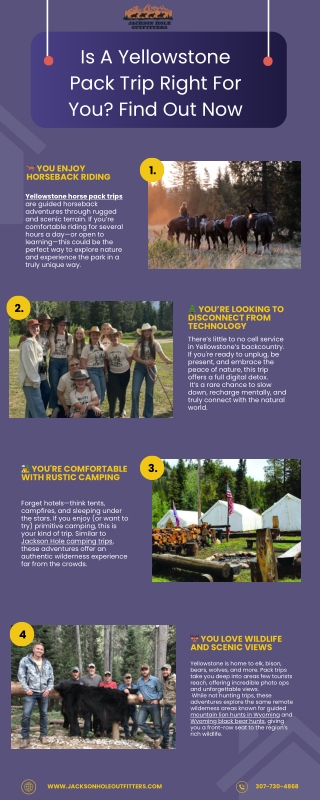 Is A Yellowstone Pack Trip Right For You Find Out Now