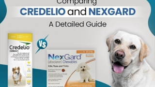 Comparing Credelio and Nexgard – A Detailed Guide