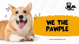 We The Pawple | Online Pet Store | Healthy Dog Food & Treats